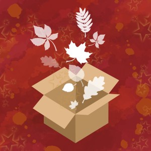 Herbstzauber Überraschungsbox